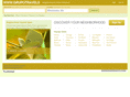 grupotravels.com