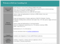 holcom-consulting.com
