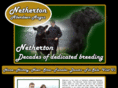 nethertonangus.co.uk