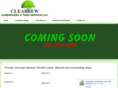 clearviewservicesonline.com