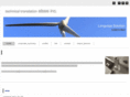 elsee.com