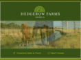 hedgerowfarms.com