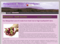 mangosteenthailand.com
