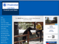 ruidosorealestatenow.com