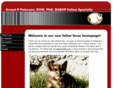 catdvm.com