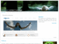 twovel.com