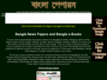 banglapapers.com