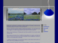 bluebonnetpaintings.com