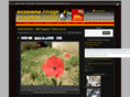essonneimage.com