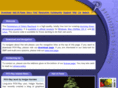 raytrace.com
