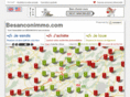 besanconimmo.com