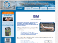 gimaviation.com