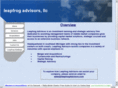 leapfrogadvisors.com