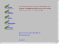 mrfilez.com