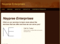 naypree-enterprises.com