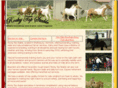 rockytopstable.com