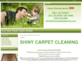 shinycarpetcleaning.com