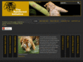 rainforest-initiative.org