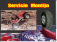 serviciomontijo.com