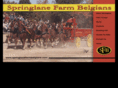 springlanefarmbelgians.com