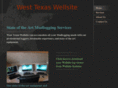 westtexaswellsite.com