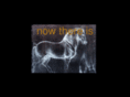 horsesvanish.com