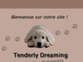 tenderlydreaming.com