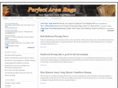 perfectarearugs.com