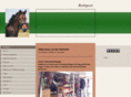 reitsport-taktrein.com
