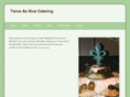 twiceasnicecatering.com