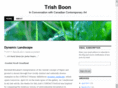 trishboon.com