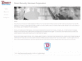 directsecurityco.com