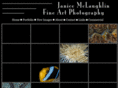 janicemclaughlin.com
