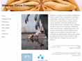 shakramdance.com