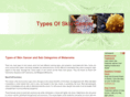 typesofskincancer.net