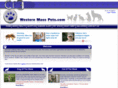 westernmasspets.com