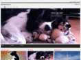 btrim.net