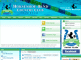 hsbswimteam.com