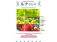 luna-aroma.com