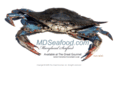 mdseafood.com