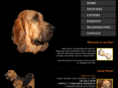 pattysbloodhounds.net