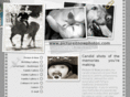 pictureitnowphotos.com
