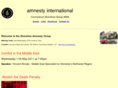 ctamnesty.org