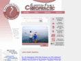 elbertonspinecare.com