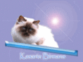 kasariobirmans.com
