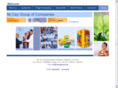 niceygroup.com