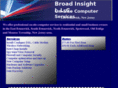 broadinsight.com