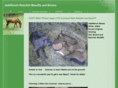 jaderanch.net