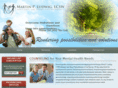martinpludwigcounseling.com