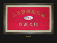 tys-group.com
